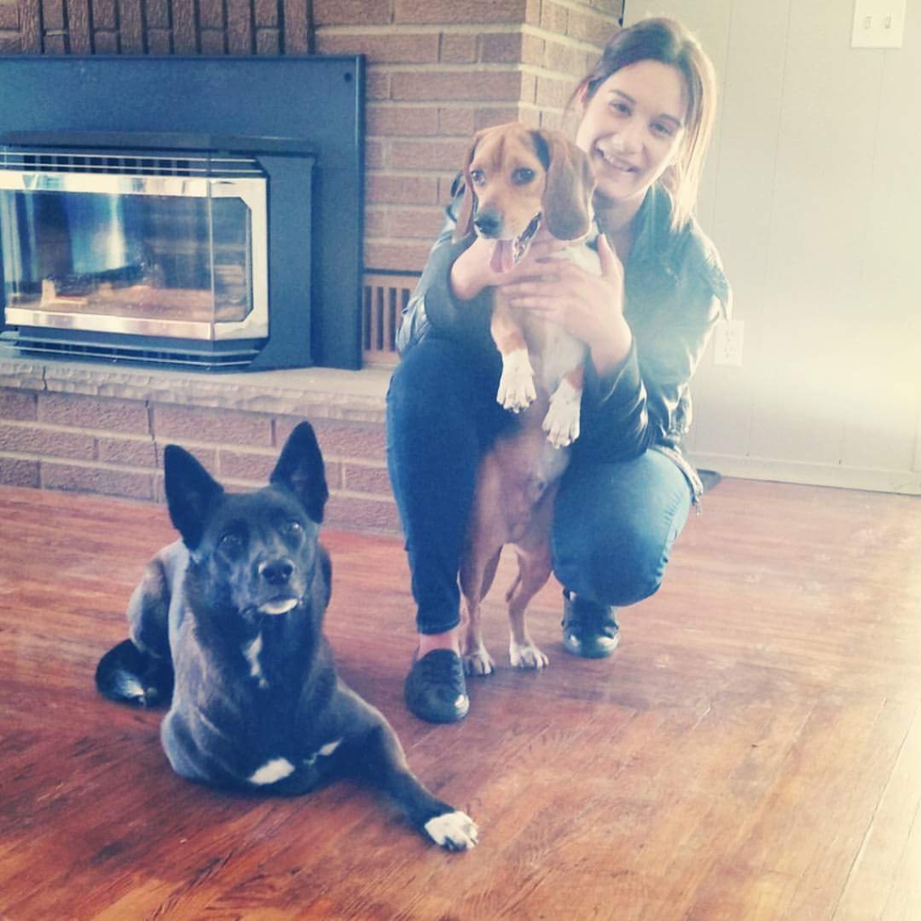 Hamilton Road Animal Hospital London, ON Our Staff