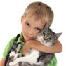 Hamilton Road Animal Hospital London Ontario-Anesthesia questions